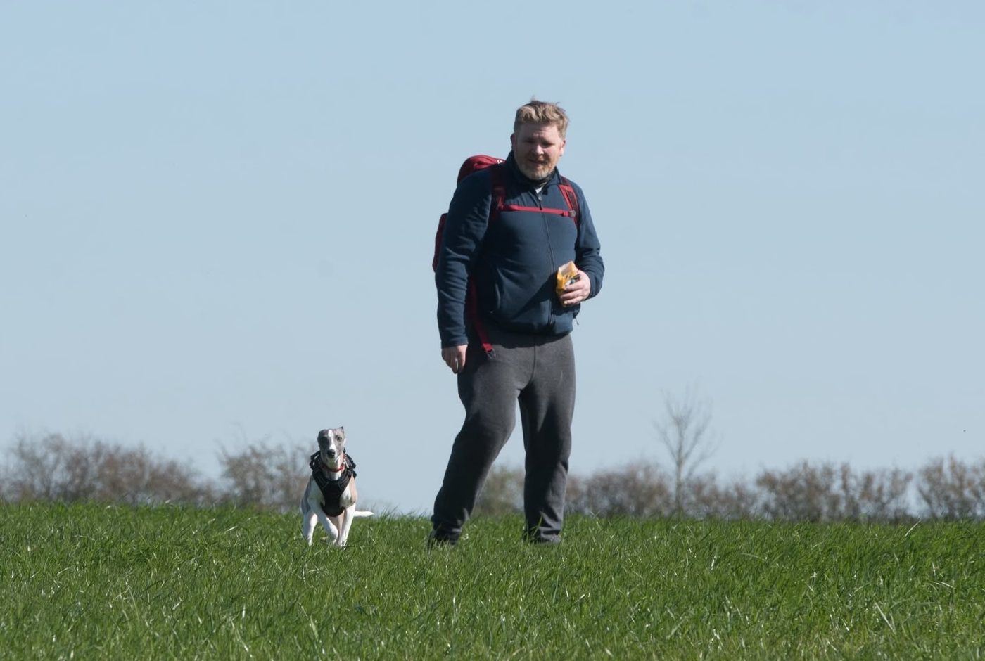 David walking across a green field with Lyra the whippet running alongside